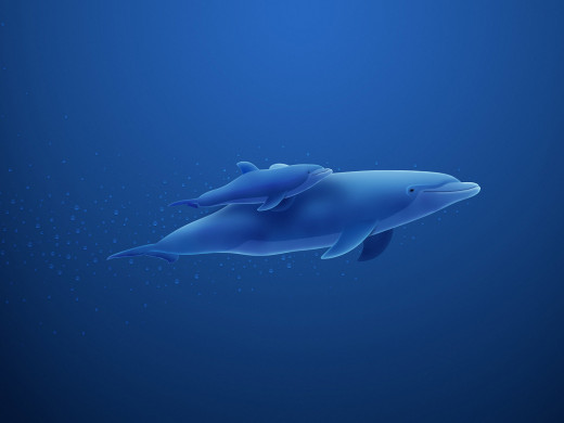 418176 (a): :1600x1200